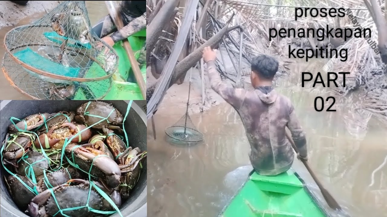 PART 02 berpetualang sambil memeriksa perangkap yang suda kami pasang 1 hari yang lalu
