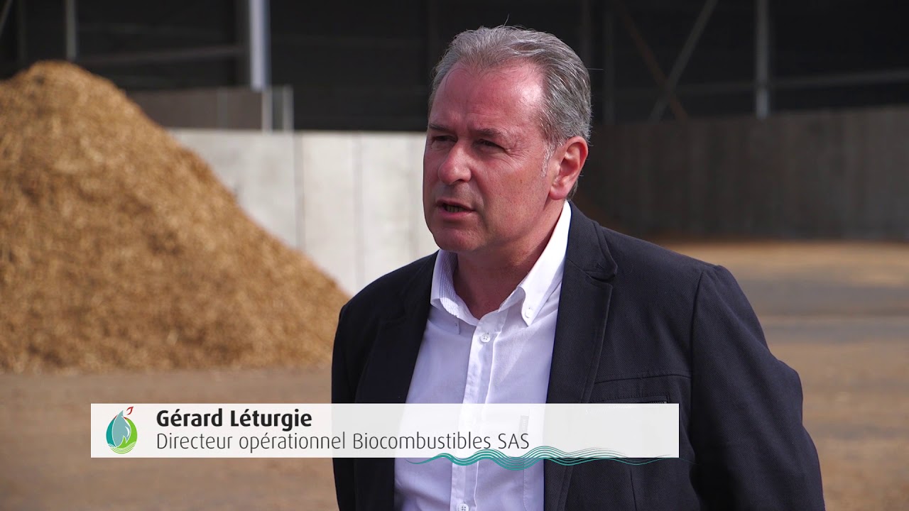 La filière Taillis Très Courte Rotation de Saules en Seine-Maritime