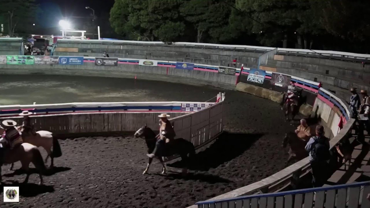 Serie Promocional Femenina  Gran Final de Rodeo Criollo Costa Araucania 2025-2026