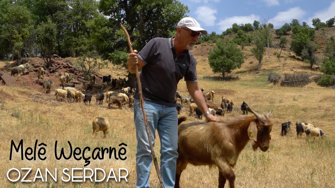 Ozan Serdar | Melê Weçarnê | Official Music Video © 2025 |