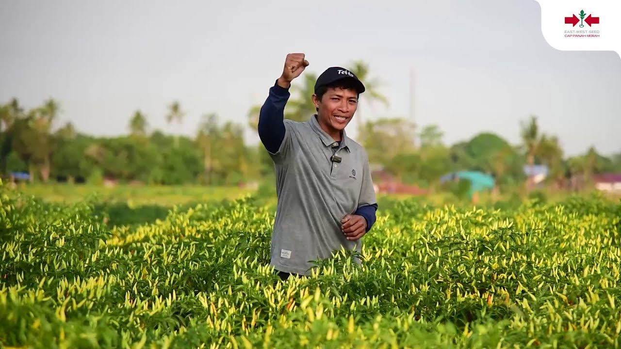 Pertanian Bukan Sekadar Pekerjaan, Tapi Ladang Amal - Kisah Sukses JUWITA 25 F1