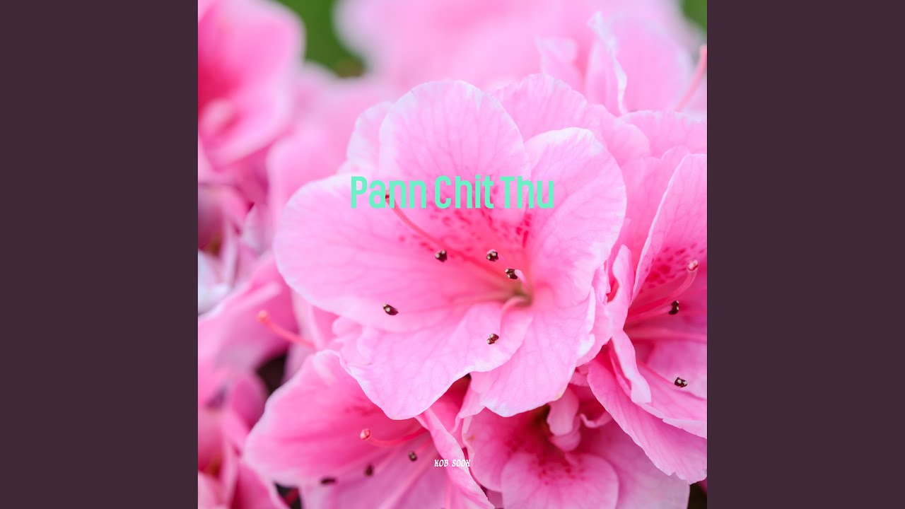 Pann Chit Thu