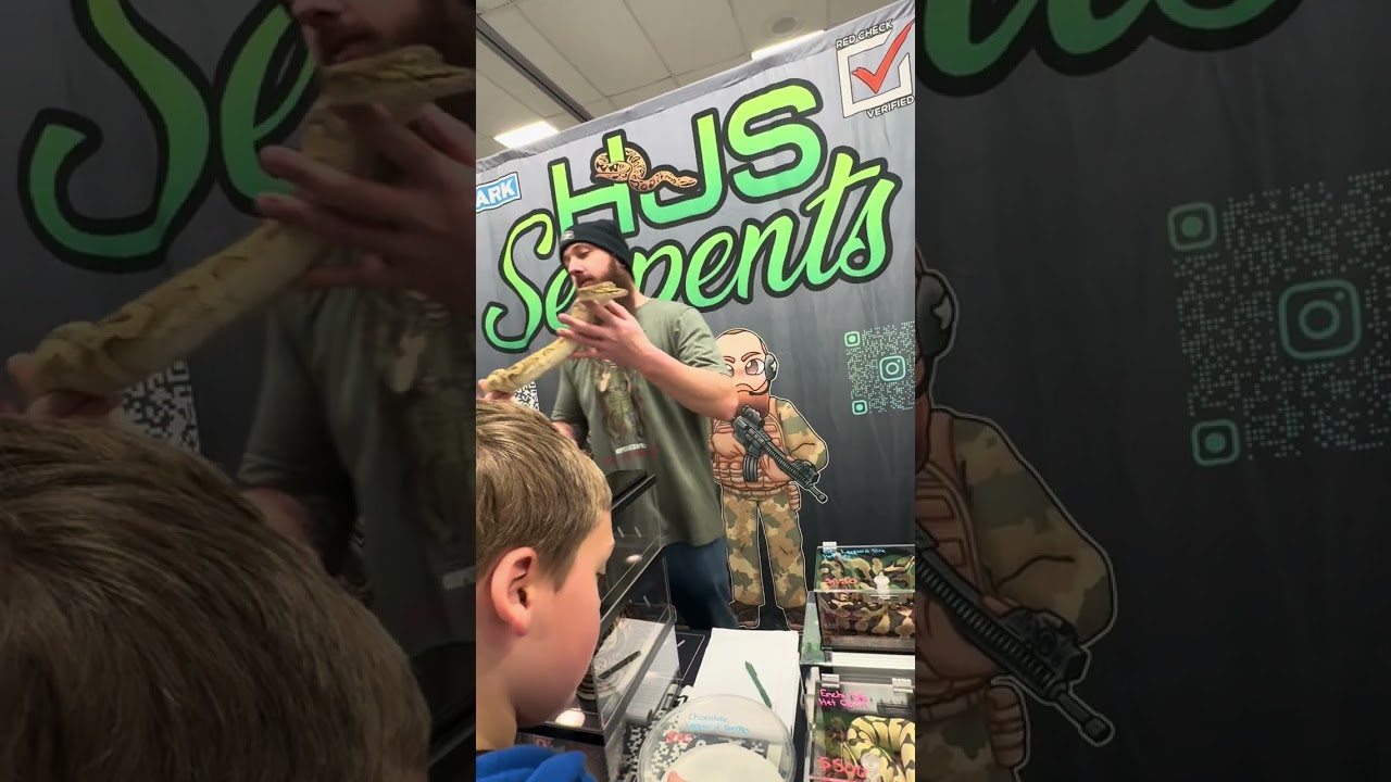 NJ Reptile Expo February 8,2026