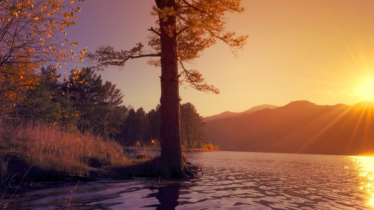 Mind Freedom  Relax  music  Beautiful Relaxing Music Stress Relief The Mind, Deep Sleep
