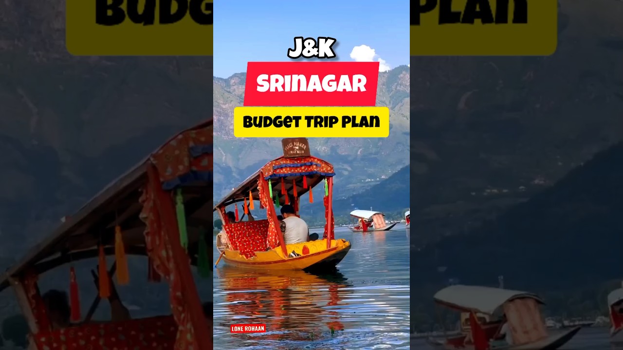 Srinagar Budget Trip Plan ❤️ #jammukashmir #srinagar #travel #viral #shortsvideo #youtube #tourism