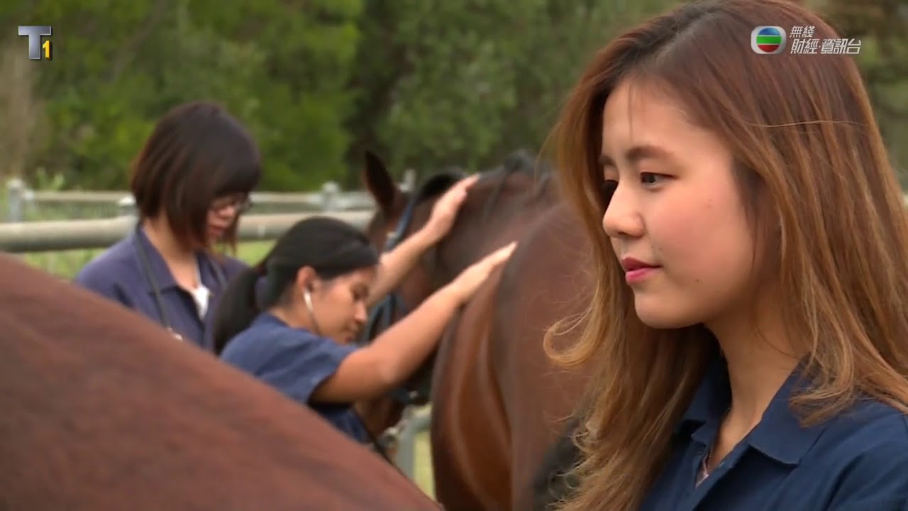 升學無疆界 EP43 澳洲 --- 悉尼大學獸醫系；香港馬會獸醫