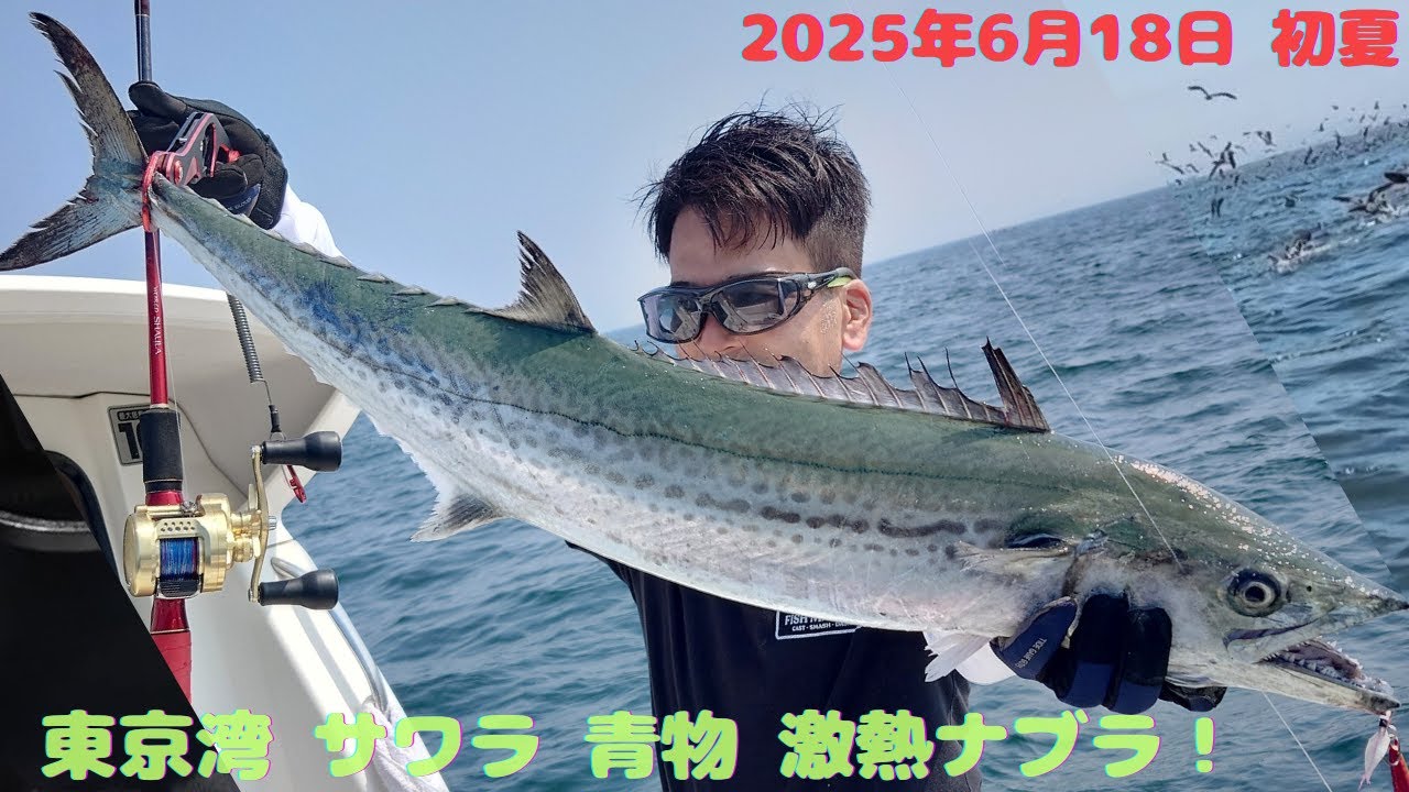 【東京湾サワラ青物】初夏は暑くて高速巻つらくない？ジギングで攻略！巨大青物ナブラも！20250618