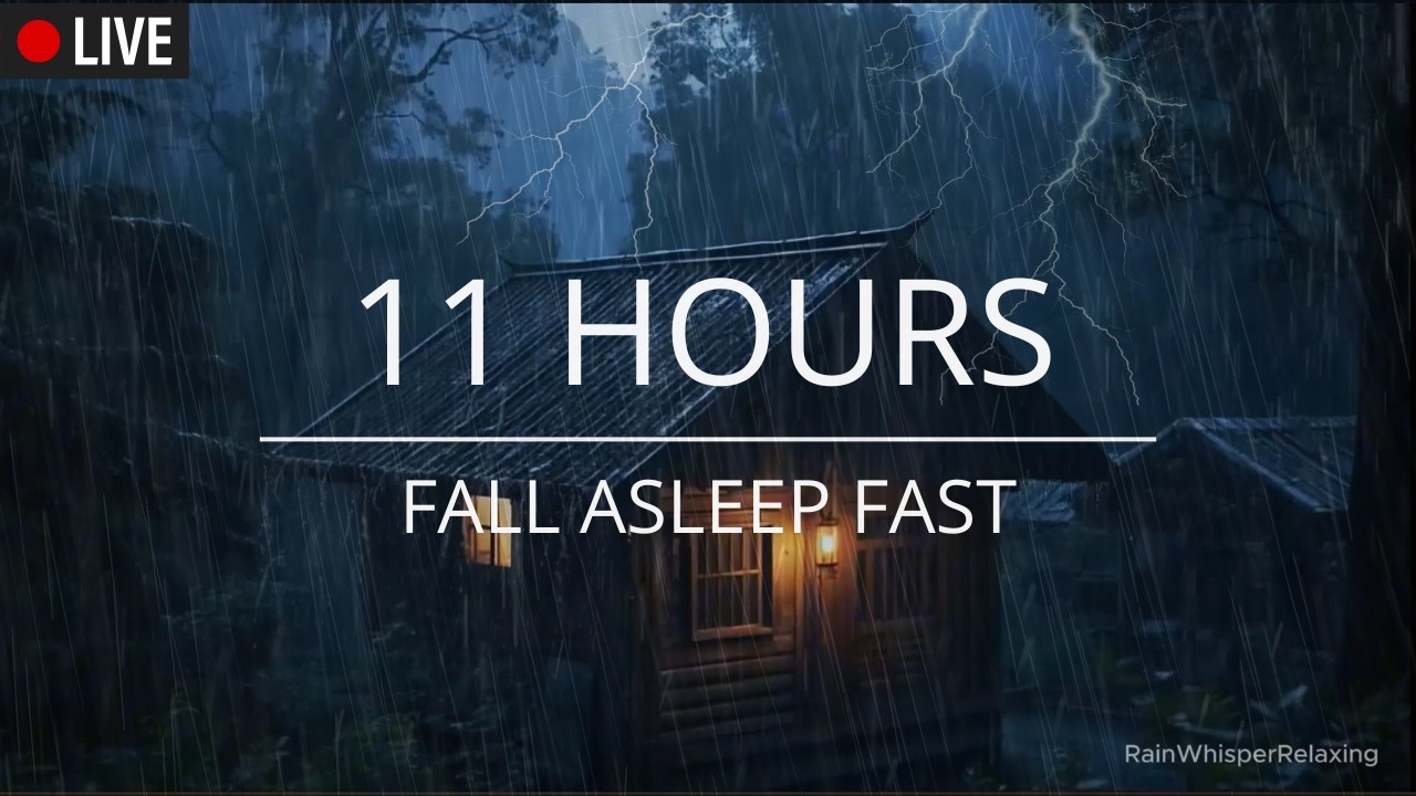 Midnight Rain in a Hidden Mountain Hut ⛈️ Dark Forest ASMR for Relaxation, Focus & Sleep