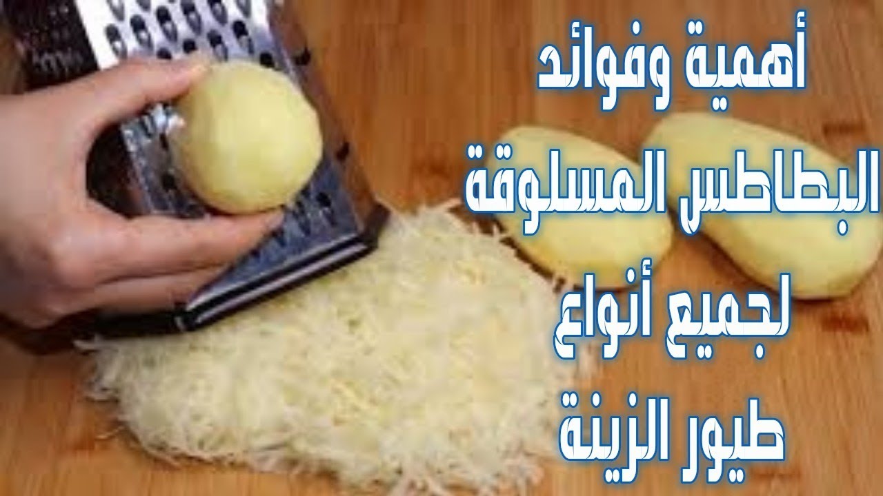 فوائد البطاطس للطيور وطرق تقديمها لها(2021)
