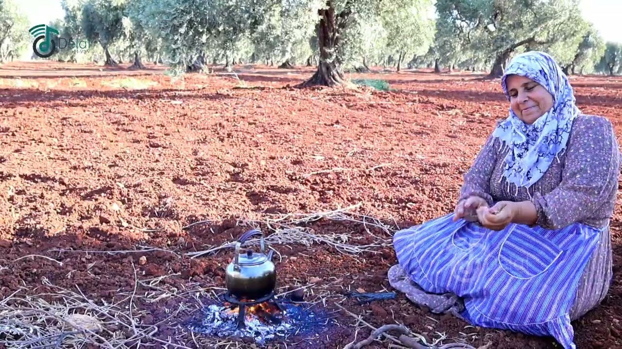 ام حسن تقود الجرار وتحرث ارضها  في عفرين جنديرس