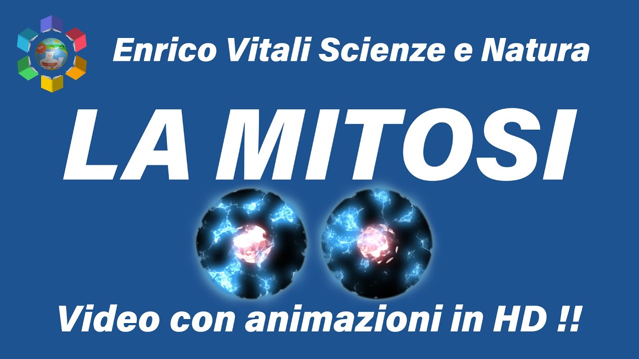 La mitosi: divisione cellulare. Video animato con simulazione  in full HD.