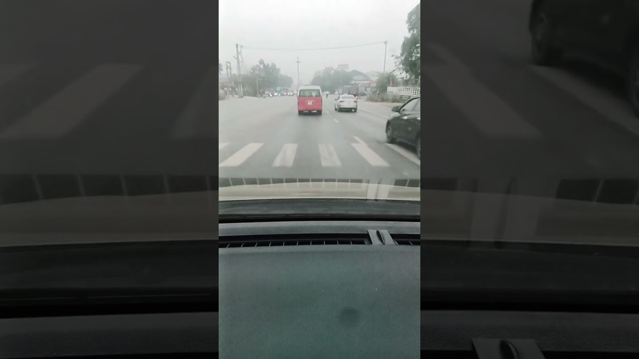 Kiếm ít lá gói bánh tết thôi kẻo tết đến lơi rồi 