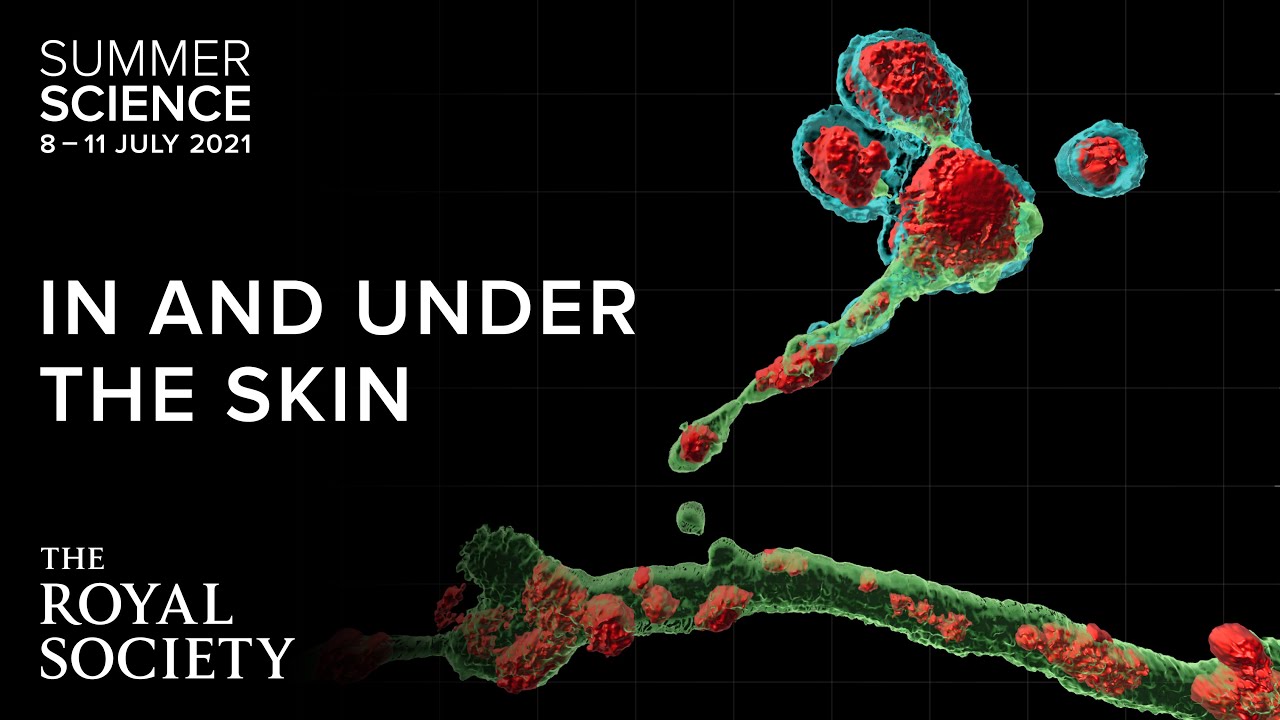 How can we grow new body parts with stem cells? | The Royal Society