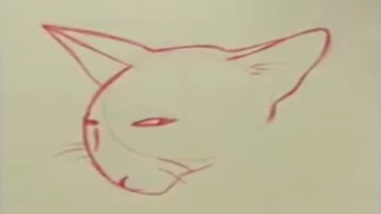 This kind of content...