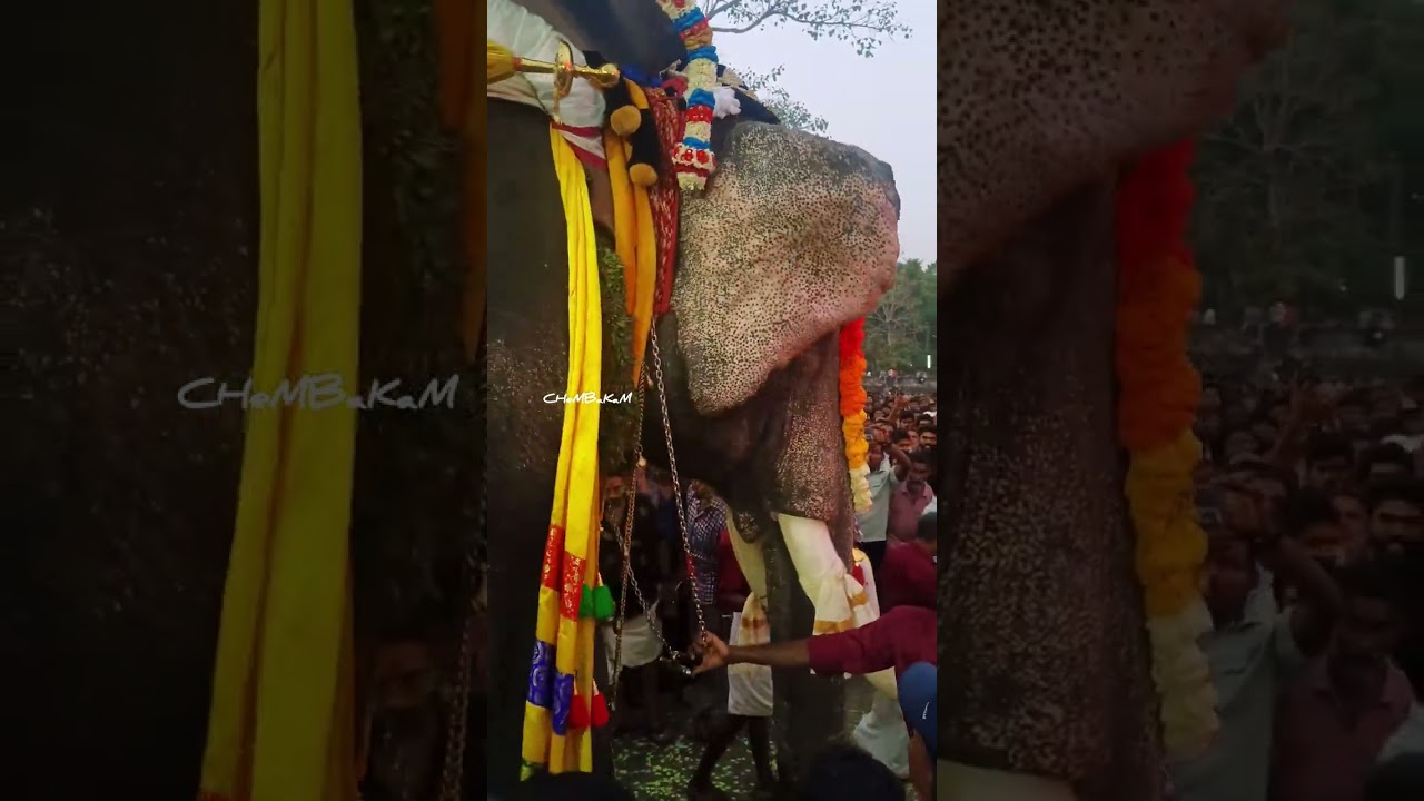 💥പെരിങ്ങോട്ടുകര പൂരം_Full Vdo Part02🔥#somashekaratemple #2026 #peringottukkara #thrissur #highlights