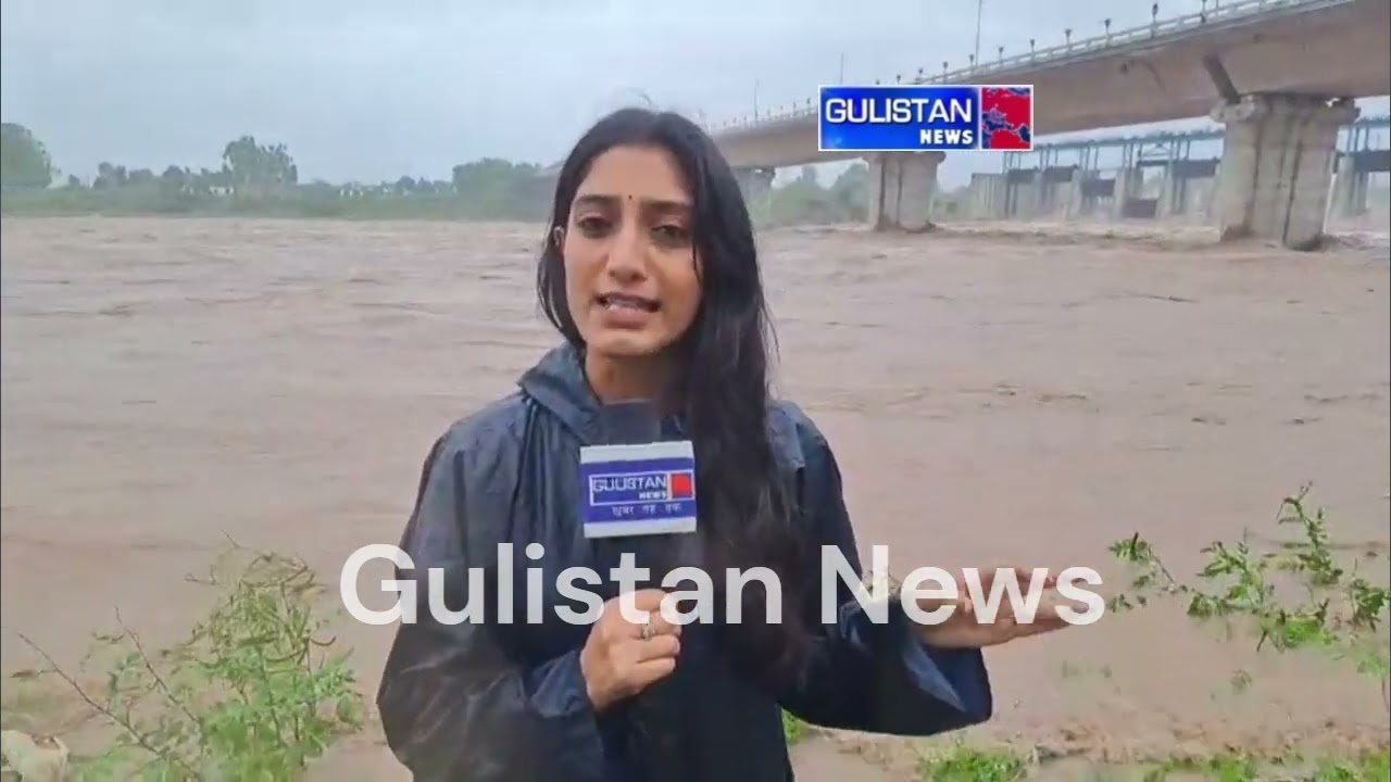 Jammu Tawi River Rises After Heavy Rainfall; Flood Control Department on Alert