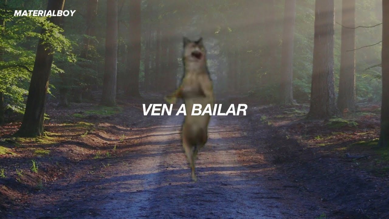 canci&oacute;n de tiktok que dice &ldquo;ijbi&ntilde;ij&rdquo;