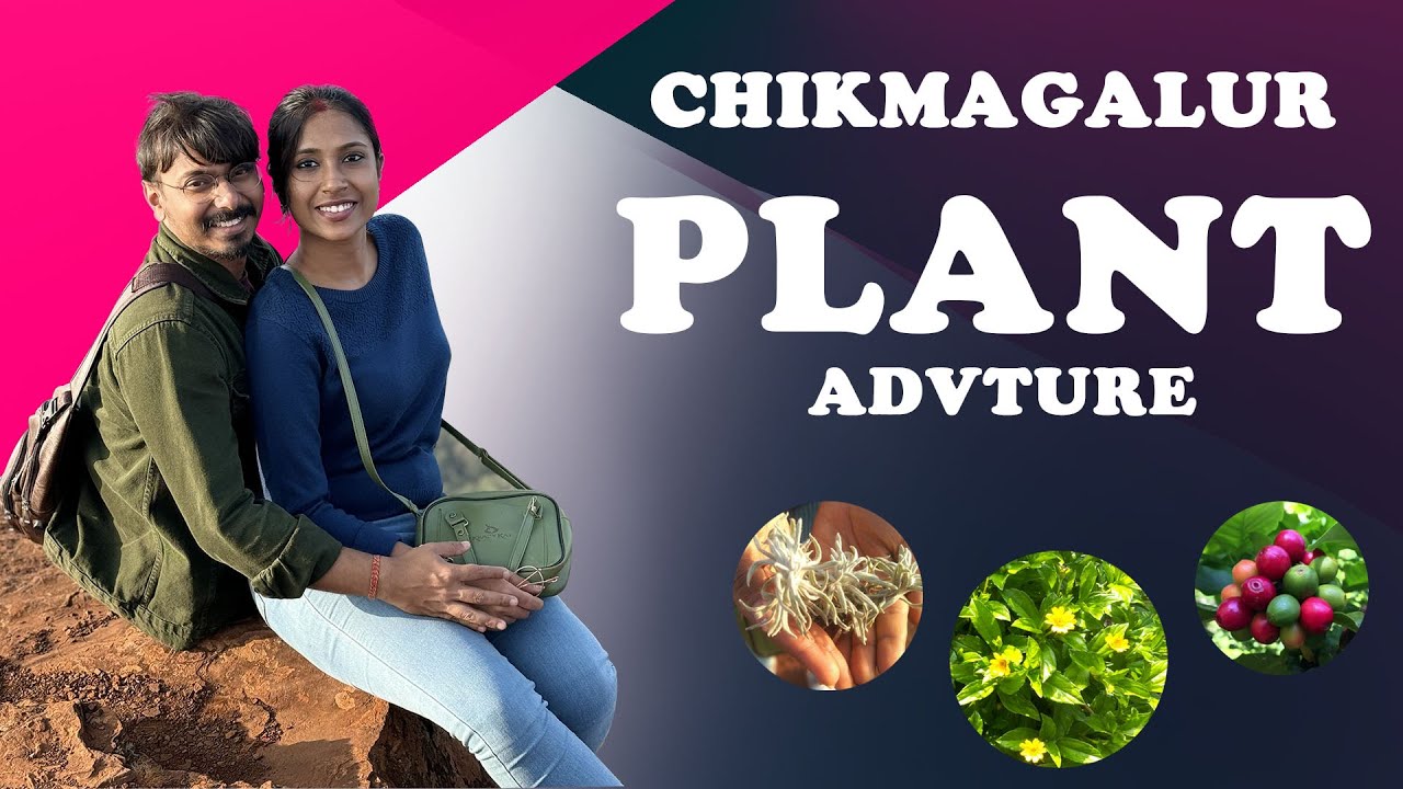 PLANT EXPLORATION IN HONEYMOON | CHIKMAGALUR | PLANT ADVENTURE&nbsp;|&nbsp;NATURE
