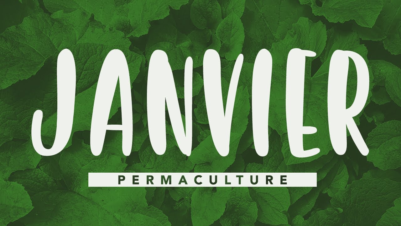Que faire dans jardin permaculture en janvier ?  #permaculture