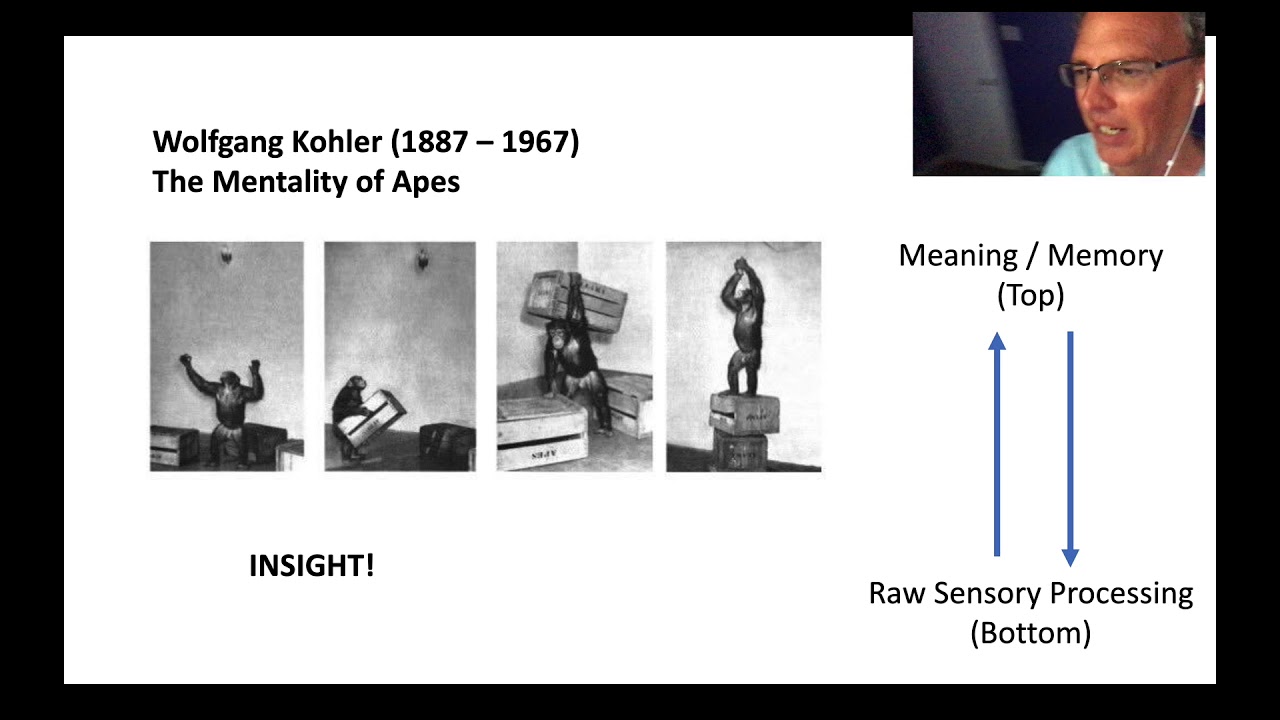 Module 7B - Köhlers, Koffka and Lewin