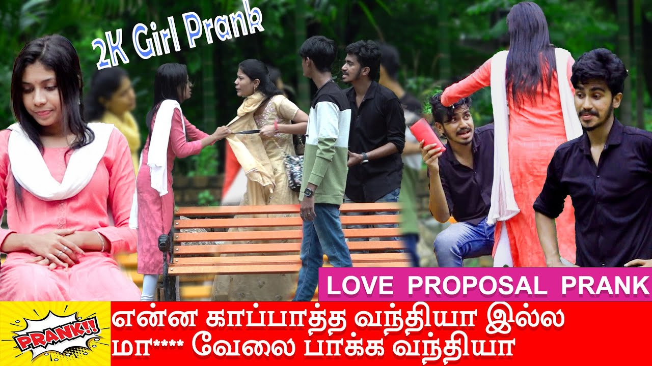 2K Girl Cute  Love Proposal Prank| Harrish Girish