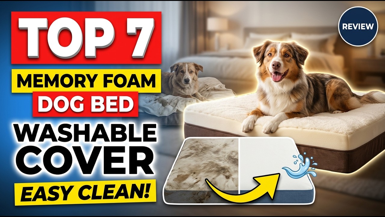 Top 7 Best Memory Foam Dog Bed Washable Cover (Urgent) Review Guide 2026 Must Watch Before Buying!