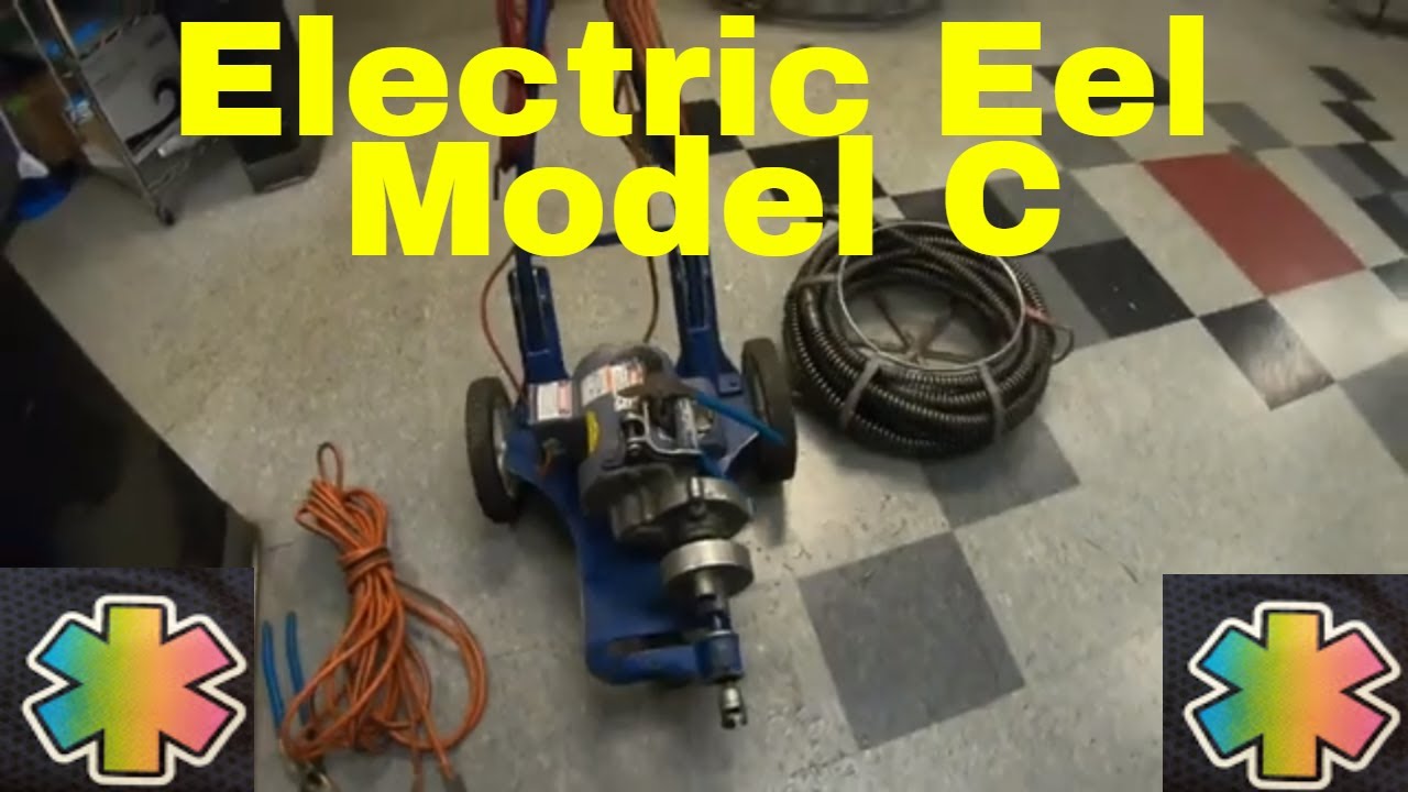 Electric eel model c