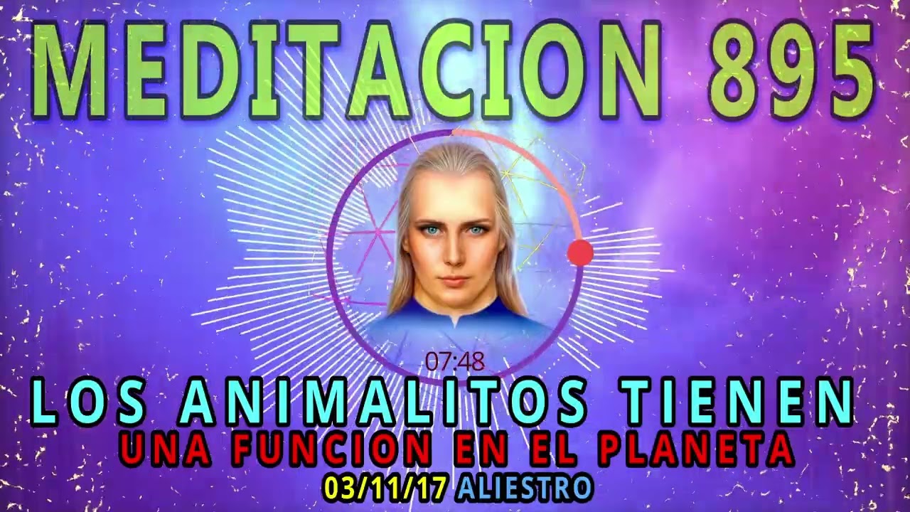 🚩MEDITACION 895🟢LOS ANIMALITOS TIENEN UNA FUNCION EN ESTE PLANETA💕❗03/11/17💥ALIESTRO💖
