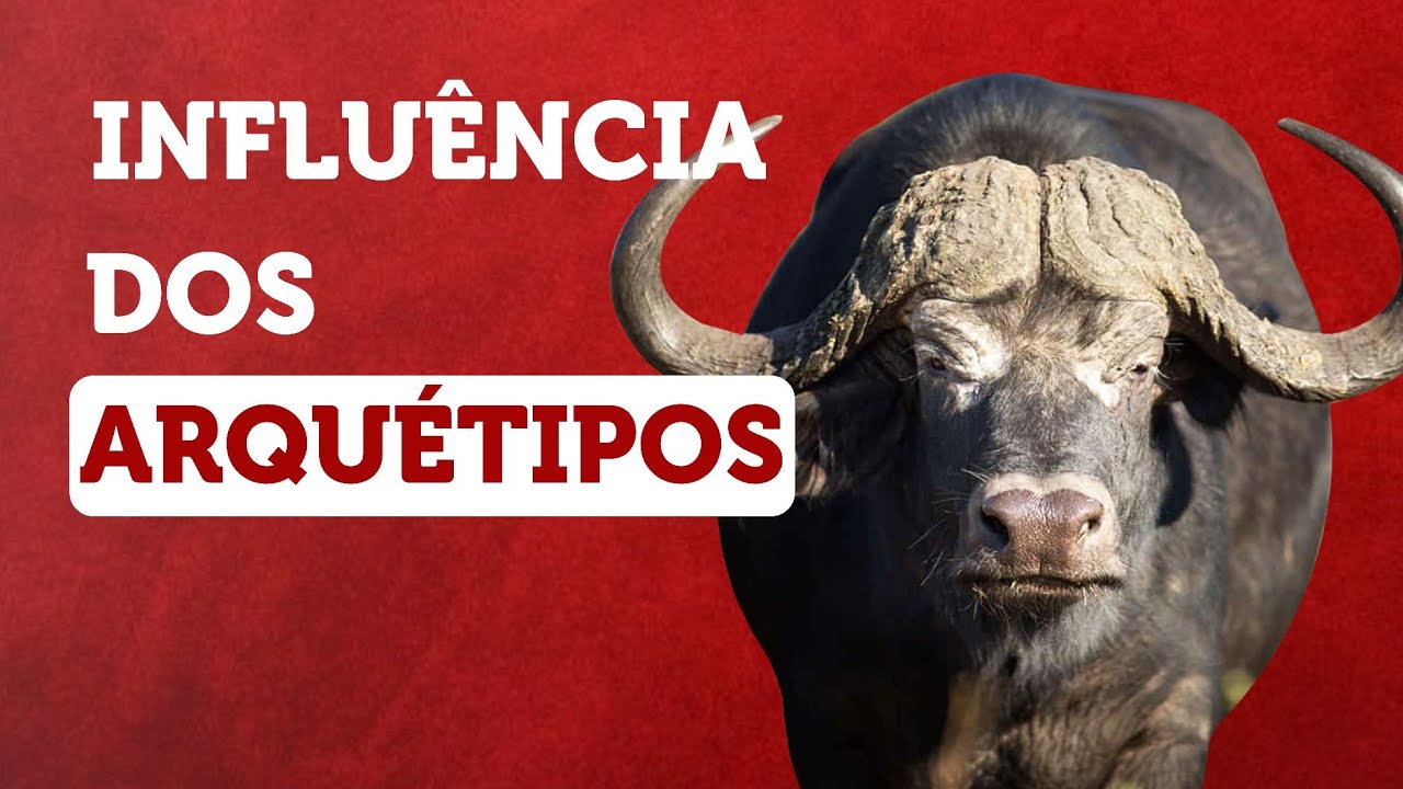 Impacto do Arquétipo do Búfalo no TRABALHO e RELACIONAMENTOS