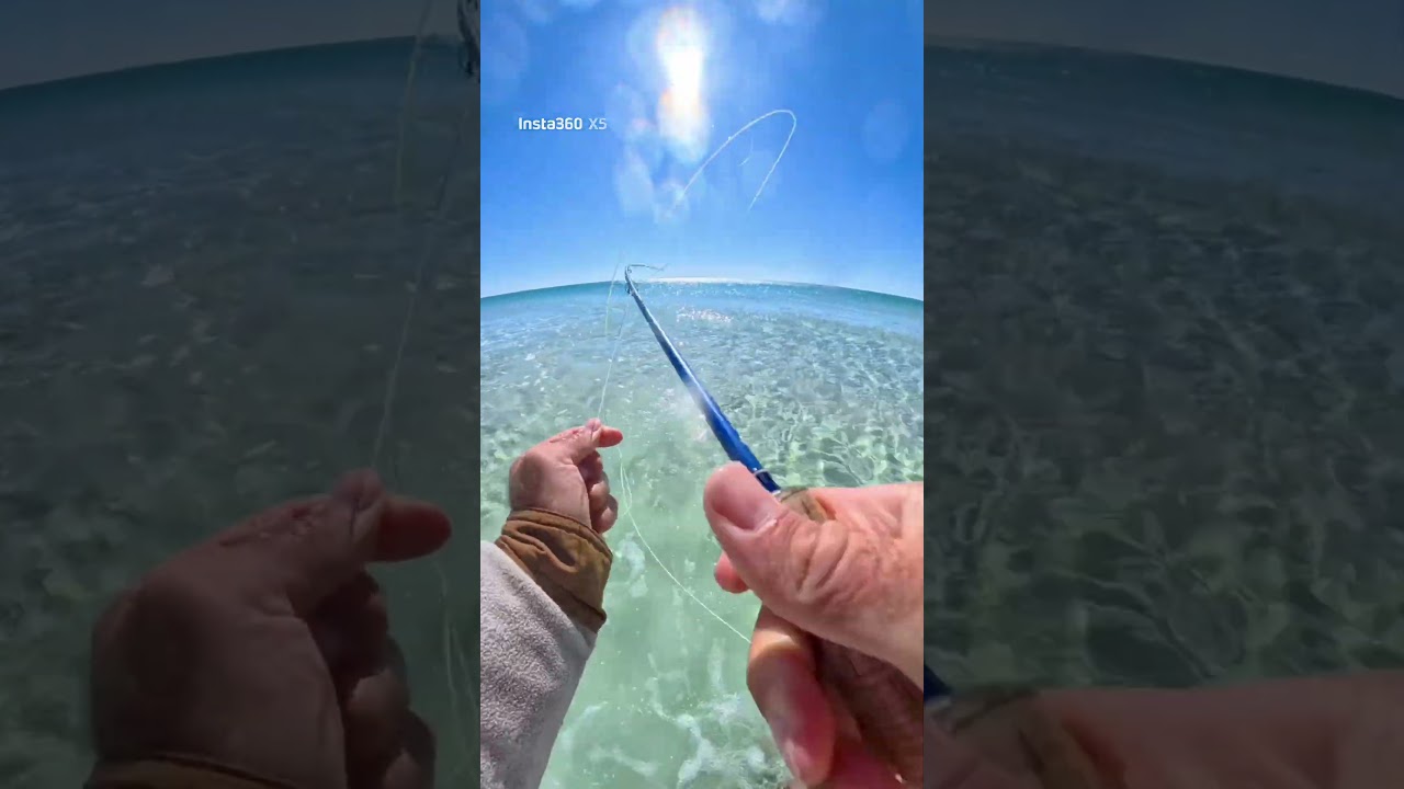 What started it all #flyfishing #insta360 #insta360 @insta360 @choonaclothing
