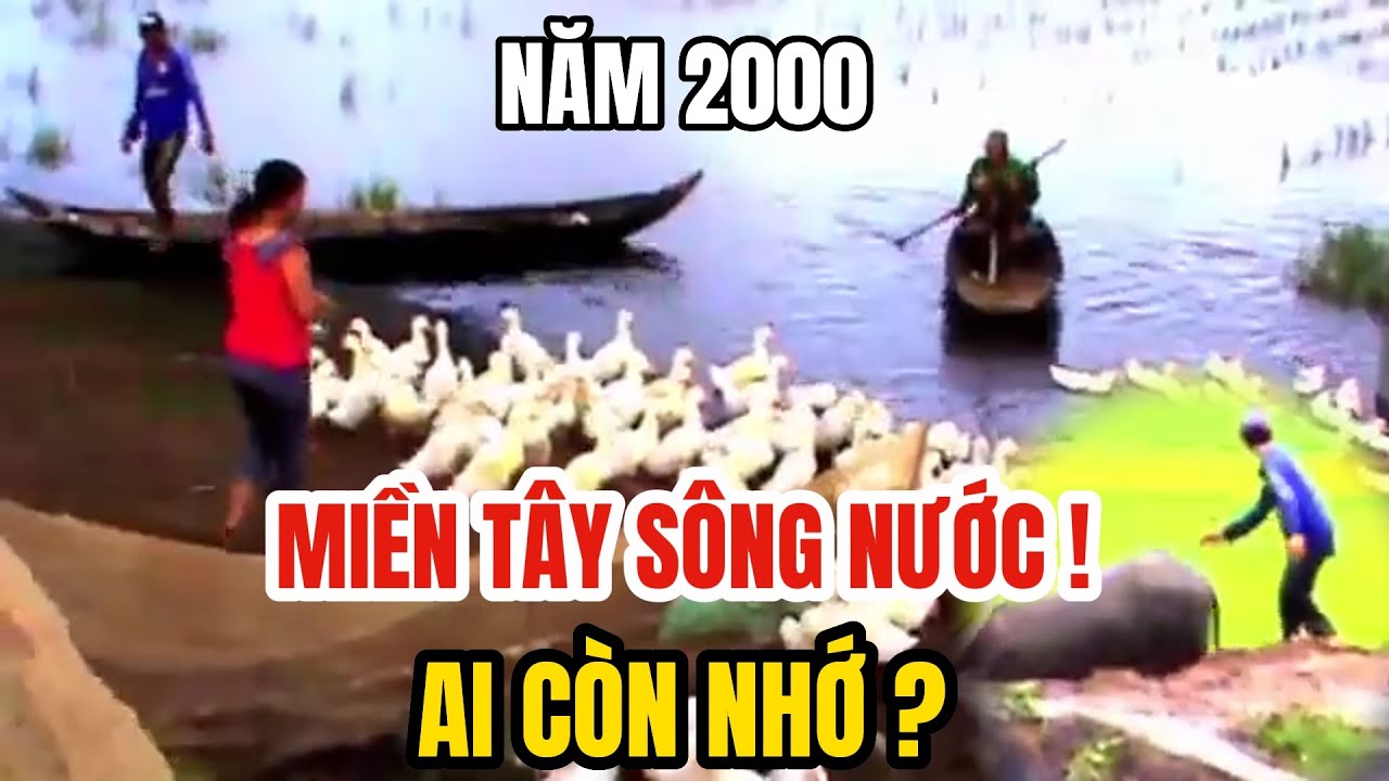 MIỀN TÂY: Năm 2000 Ký Ức Xưa Ai Còn Nhớ Không?