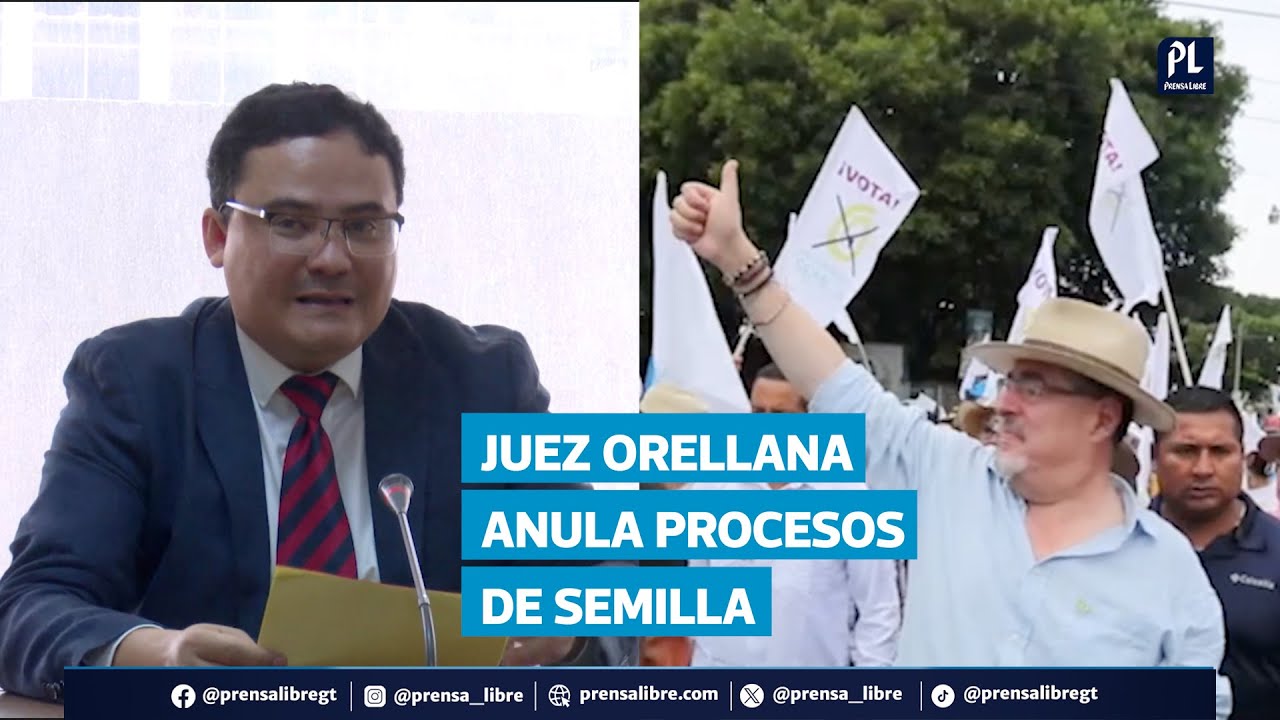 Juez Fredy Orellana ordena nulidad de procesos del partido Semilla y emplaza al TSE