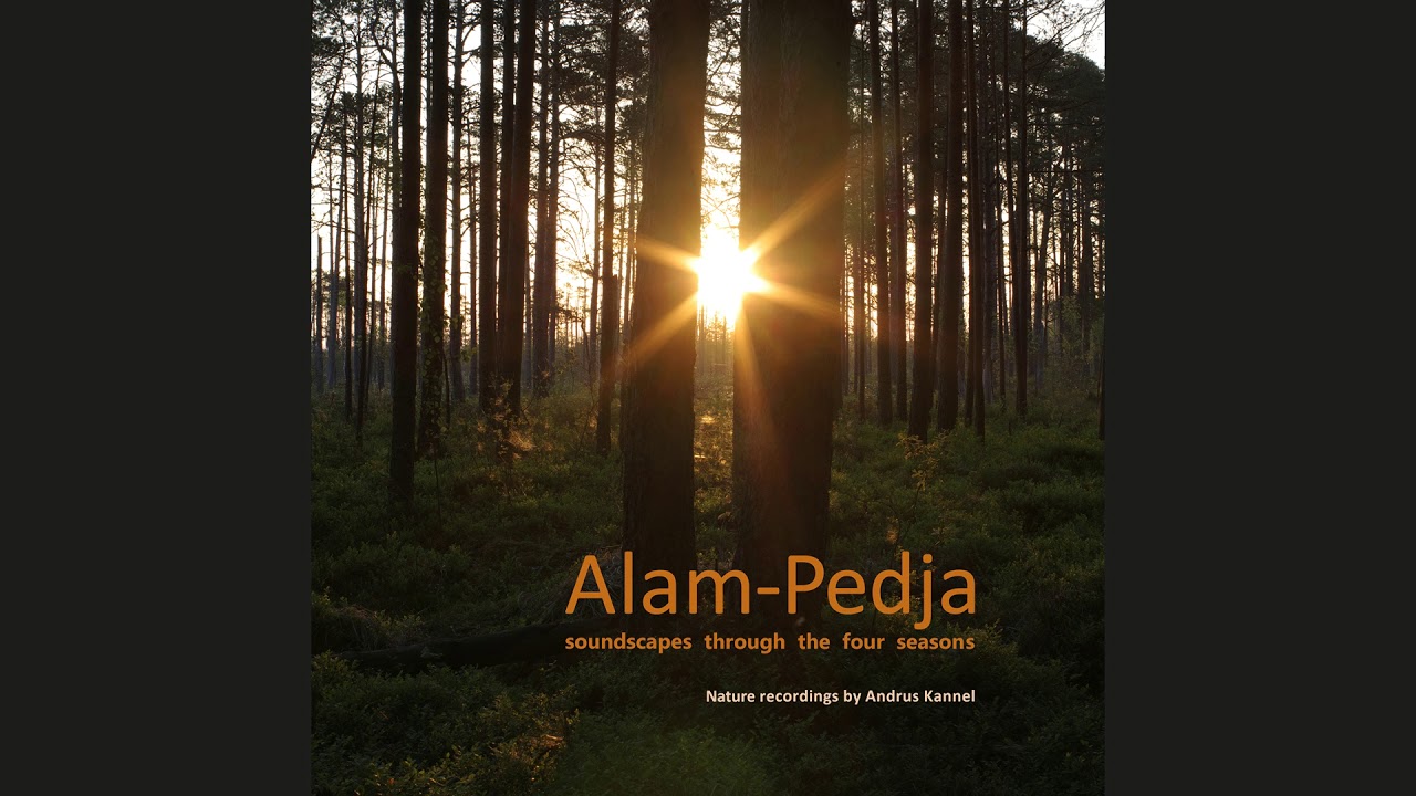 Alam-Pedja soundscapes through the four seasons