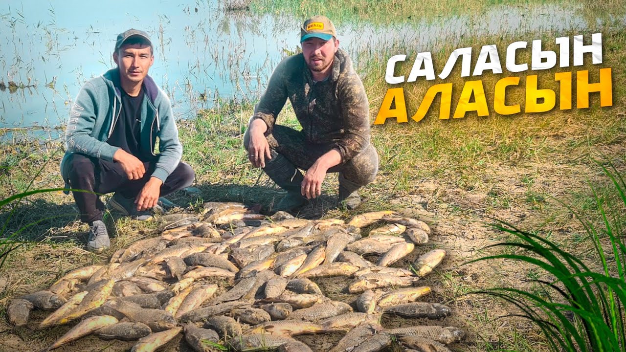 САЛАСЫН АЛАСЫН!!! САЗИКТЕР! Балық ӨТЕ көөөөп!!! 