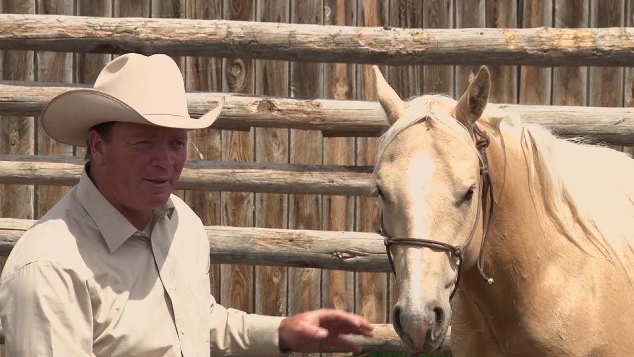 Ken McNabb: Colt Starting (Part 5 of 7) - Saddling for the First Time