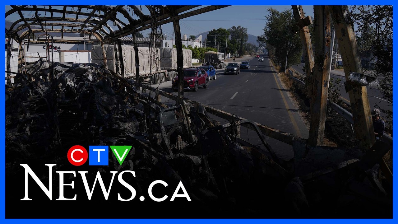 Canadians stuck in Mexico 'very concerned and frightened': Travel expert