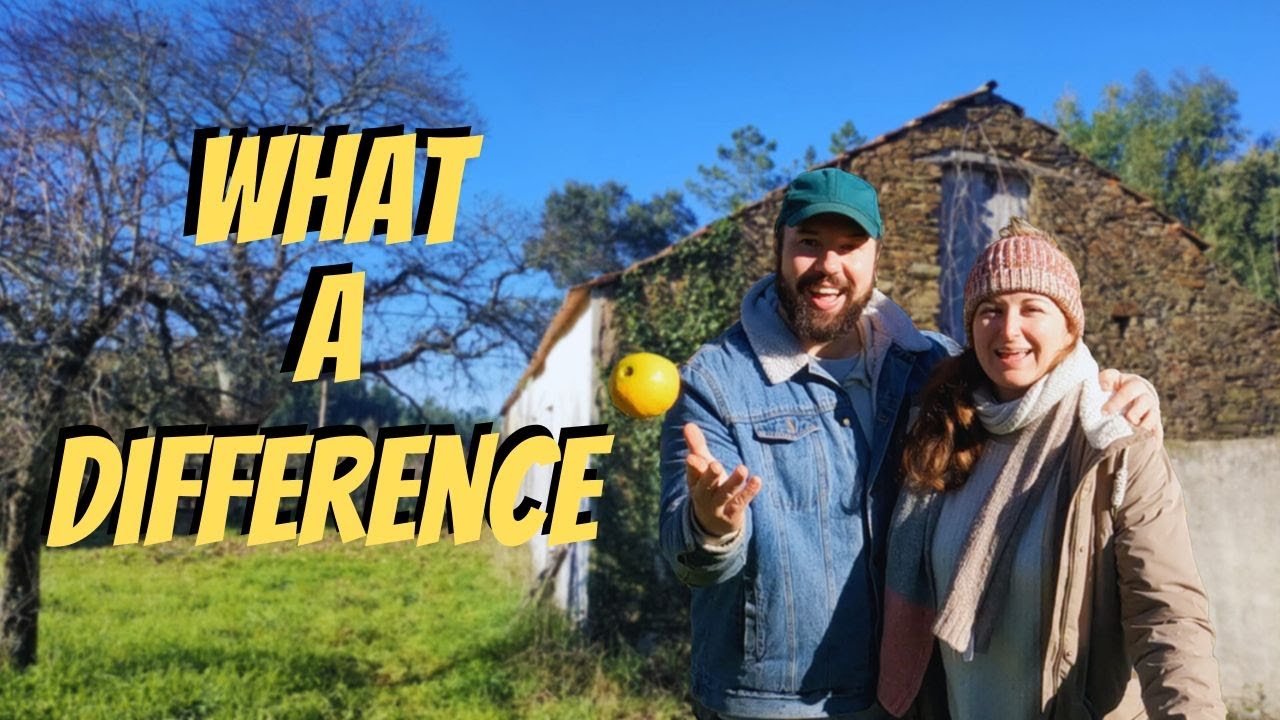 6 - Clearing out our little off grid barn in Central Portugal