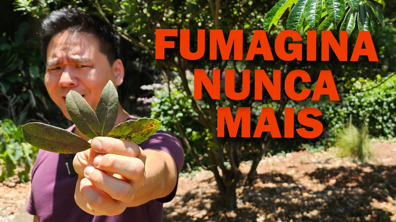 Acabe com a FUMAGINA