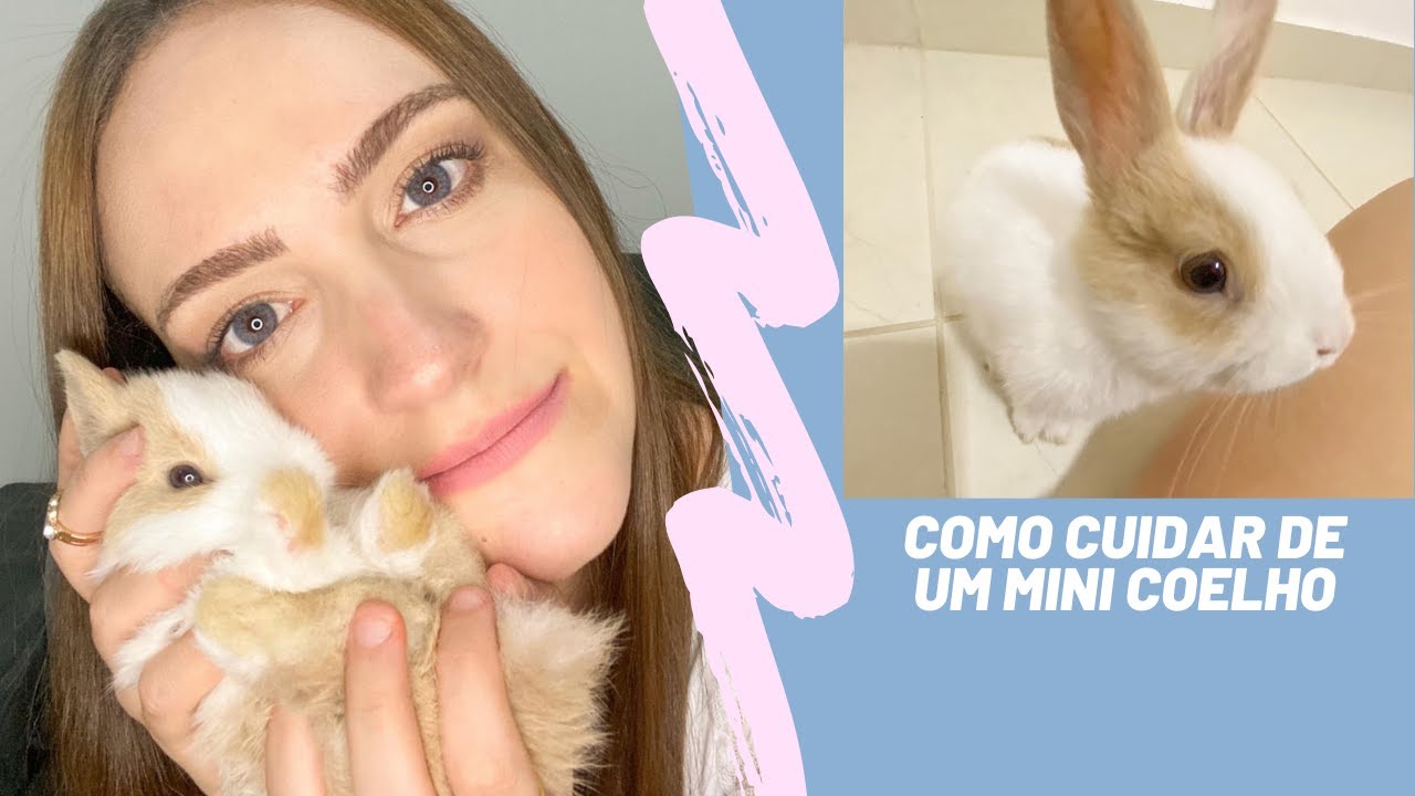 DICAS DE COMO CUIDAR DE UM MINI COELHO