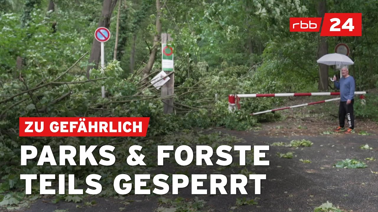 Nach dem Sturm in Berlin: Lebensgefahr durch herabstürzende Äste