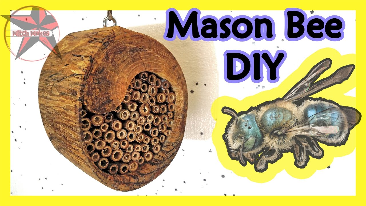 Mason Bee House DIY
