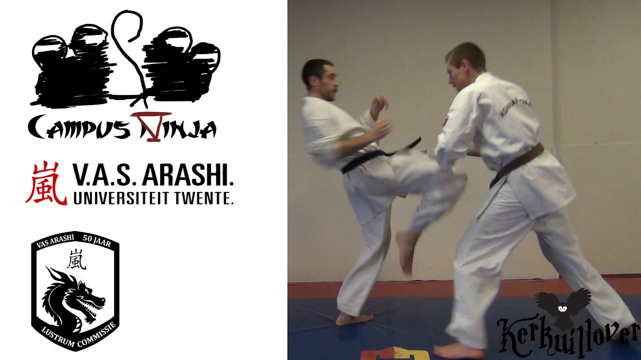 CN5 Ashihara Karate Choreography ideas