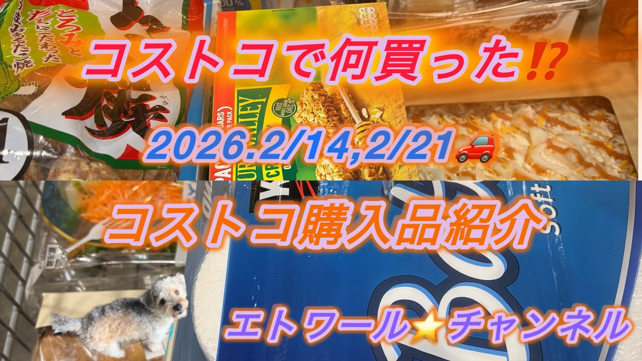 2026.2/14,2/21コストコ購入品紹介#コストコ#コストコ購入品 