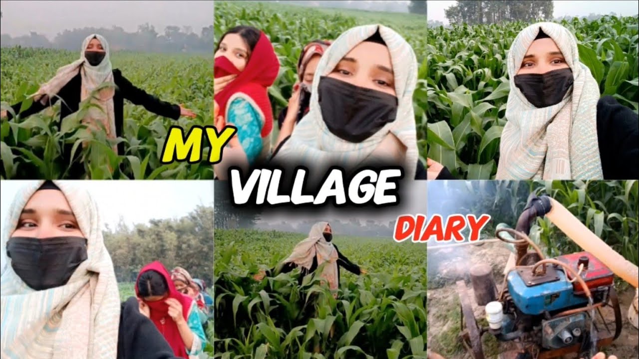 My Village Diary || Mera Khubsurat Gaw || Khet Ki Hariyali 🌳🌿
