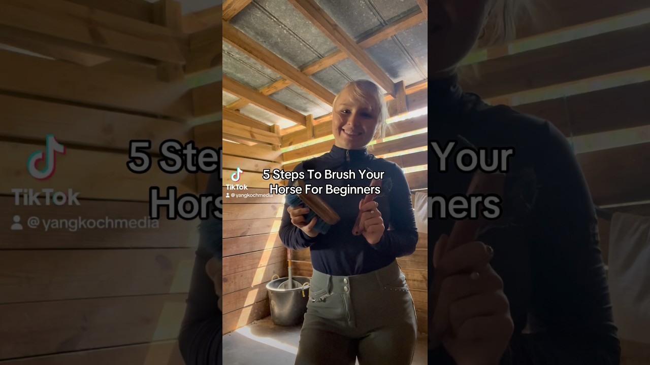 How To Brush A Horse (5 easy steps) #equestrian #horsegirls #showjumping #horseriding #breeches