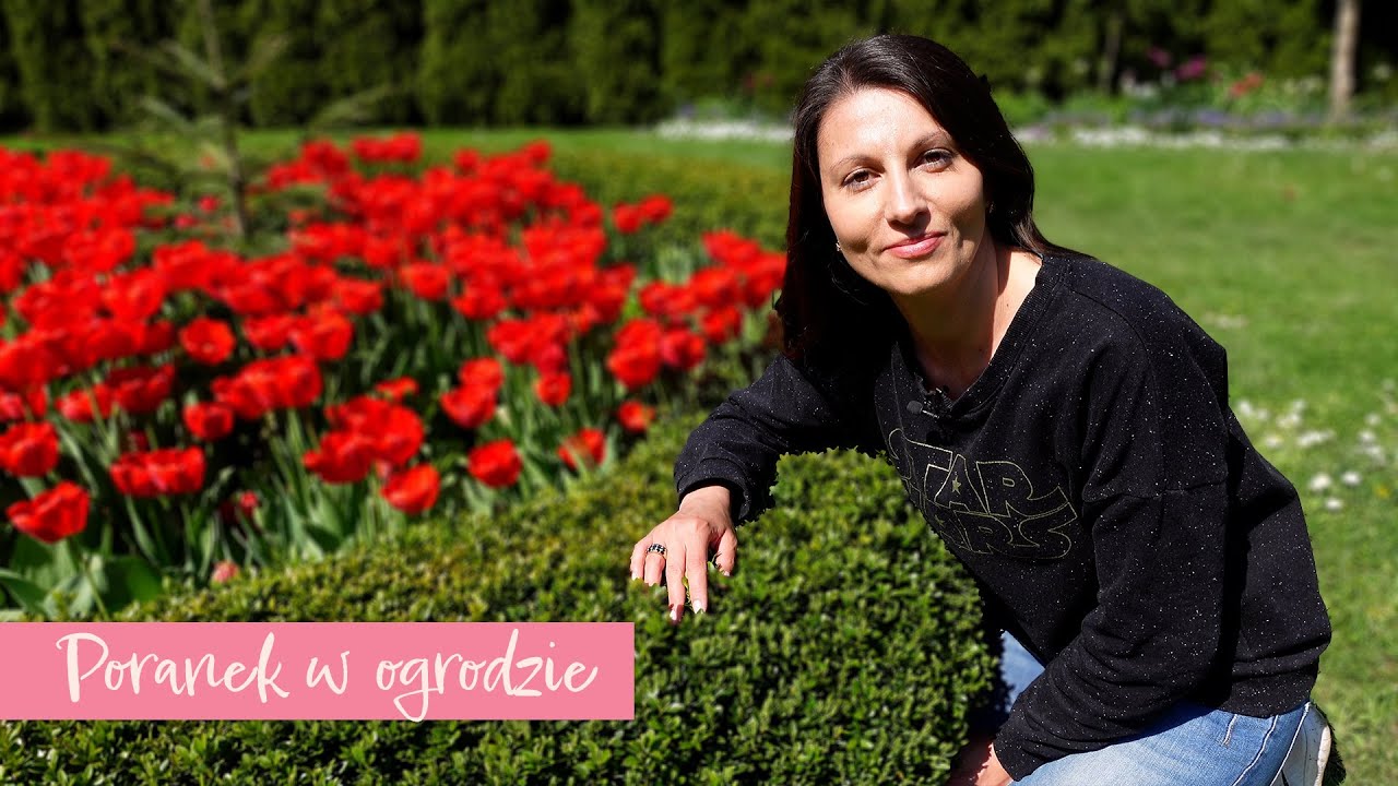 Poranek w ogrodzie - nacyzy, magnolie, tulipany i roślinne nowości