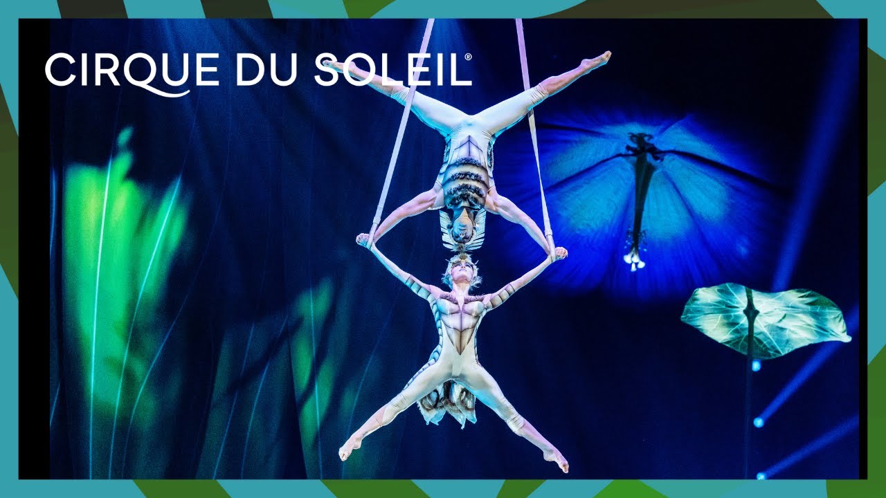 Aerial Allure Featuring Acts from OVO, Alegr&iacute;a and MORE | Cirque du Soleil