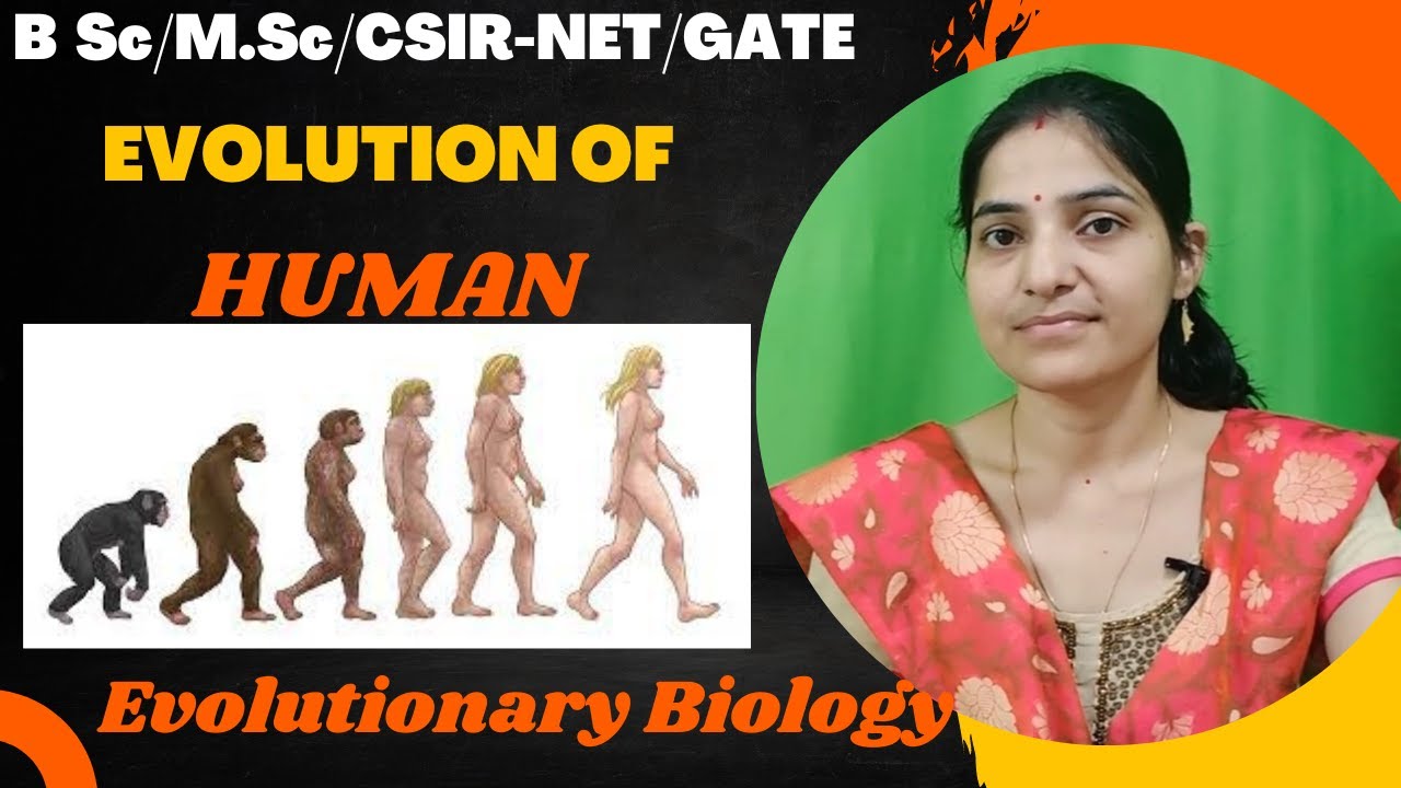 Human Evolution Bsc  3rd year||Evolution Of Man||B.Sc and M.sc zoology||#evolution