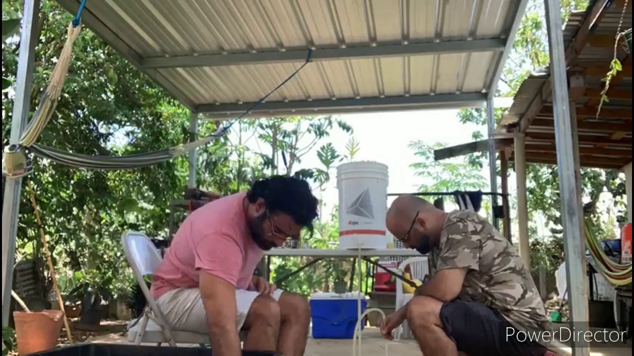 D&iacute;a de embotellar. Estilo Saison #gurabrew #homebrewing #saisonstylebeer
