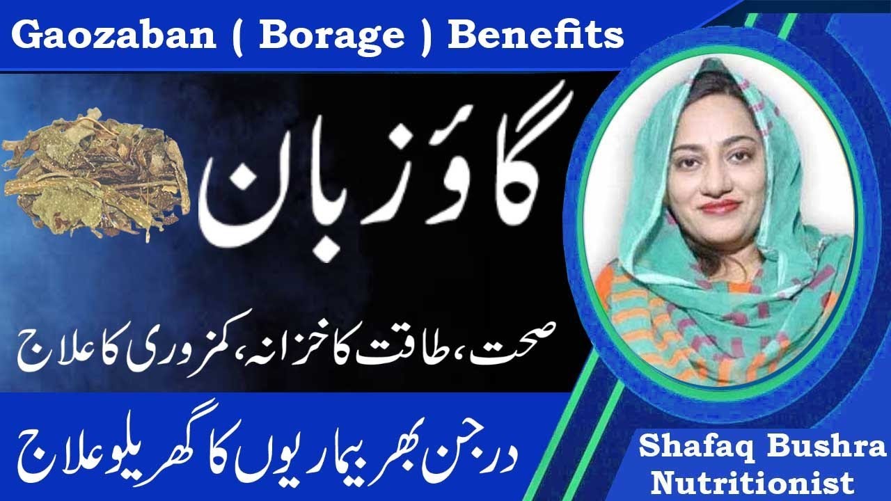 Amazing Health Benefits Of Borage Benefits In Urdu | Gao Zuban Ke Fayde
